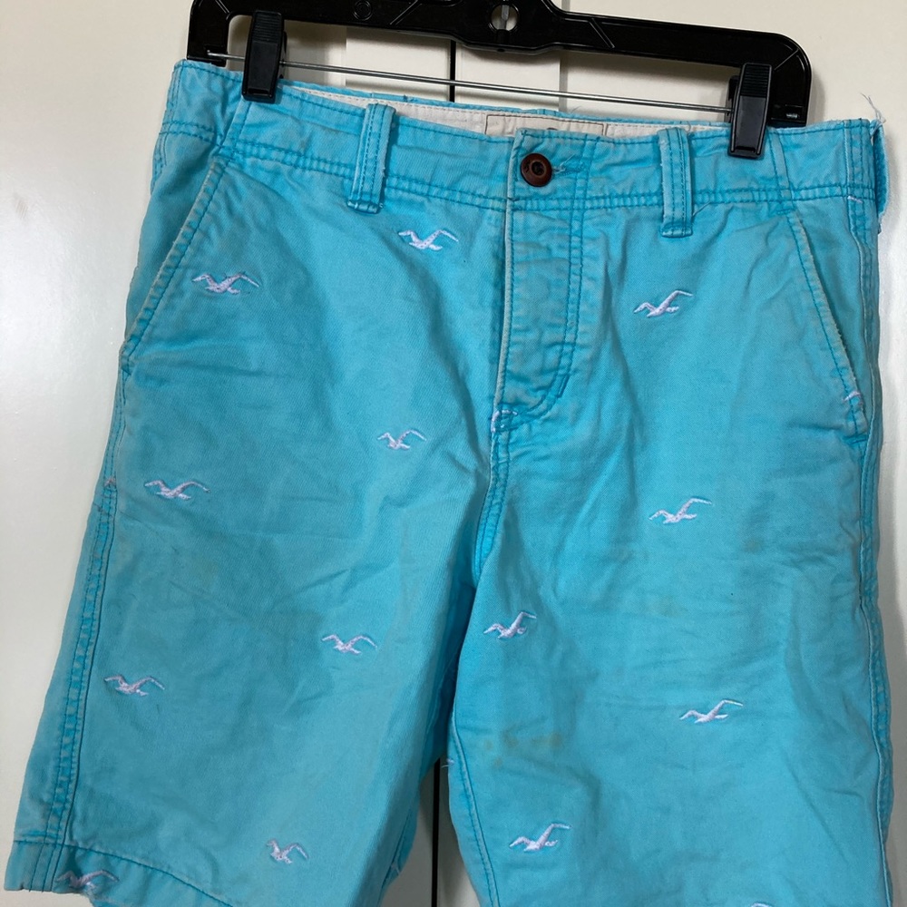 Hollister Men’s Blue Seagull Shorts